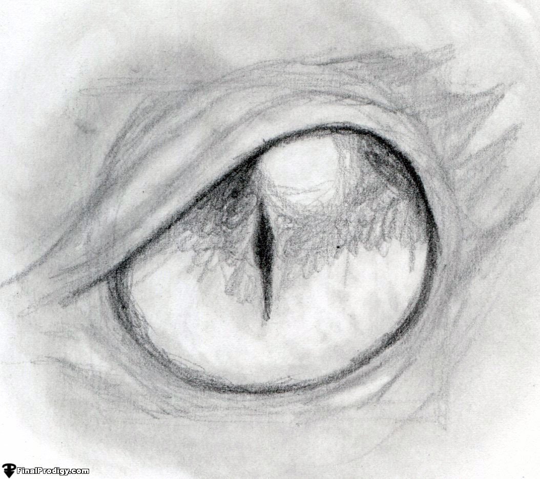 realistic dragon eye drawing