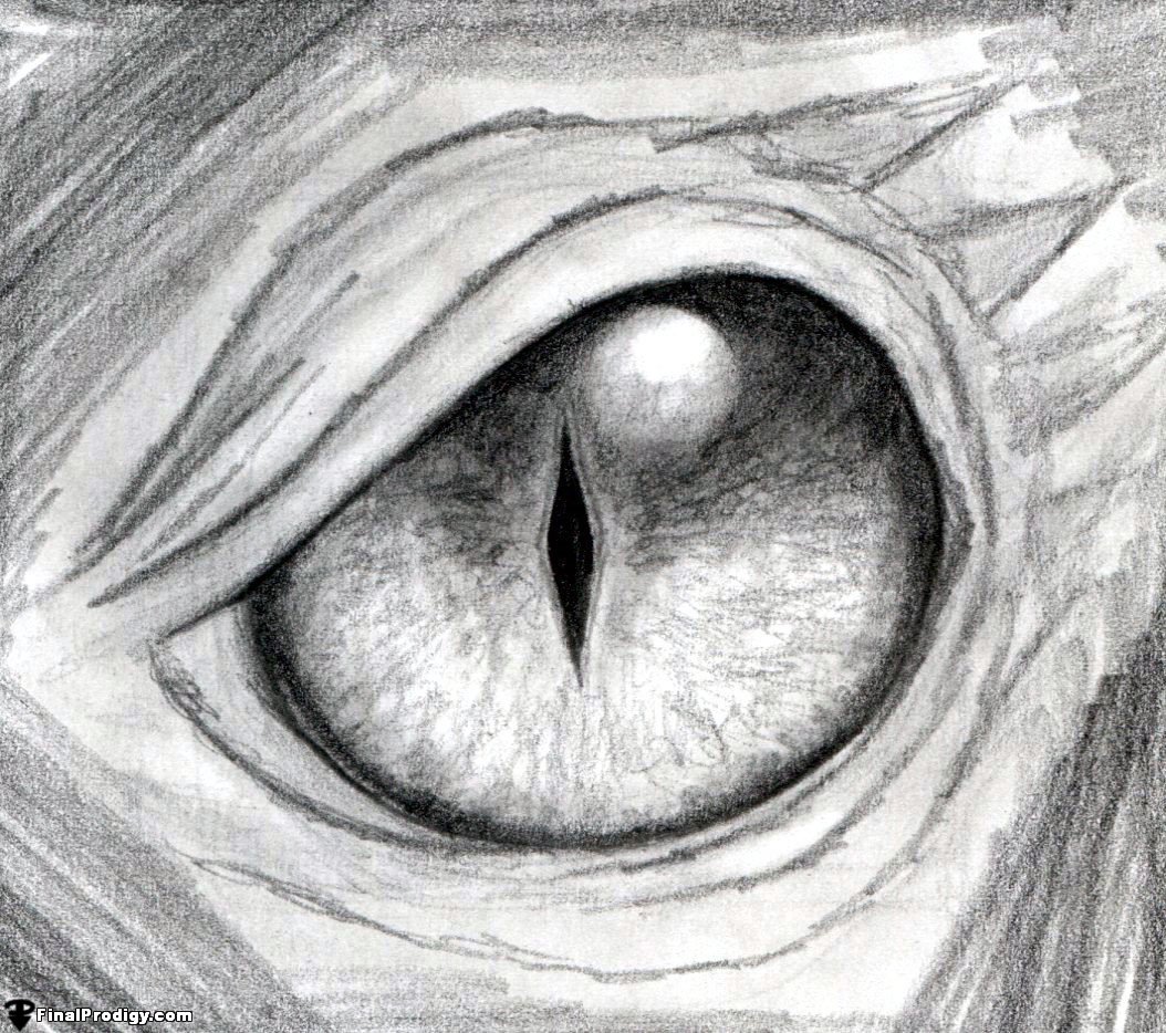 Download How to Draw a Dragon Eye - FinalProdigy.com