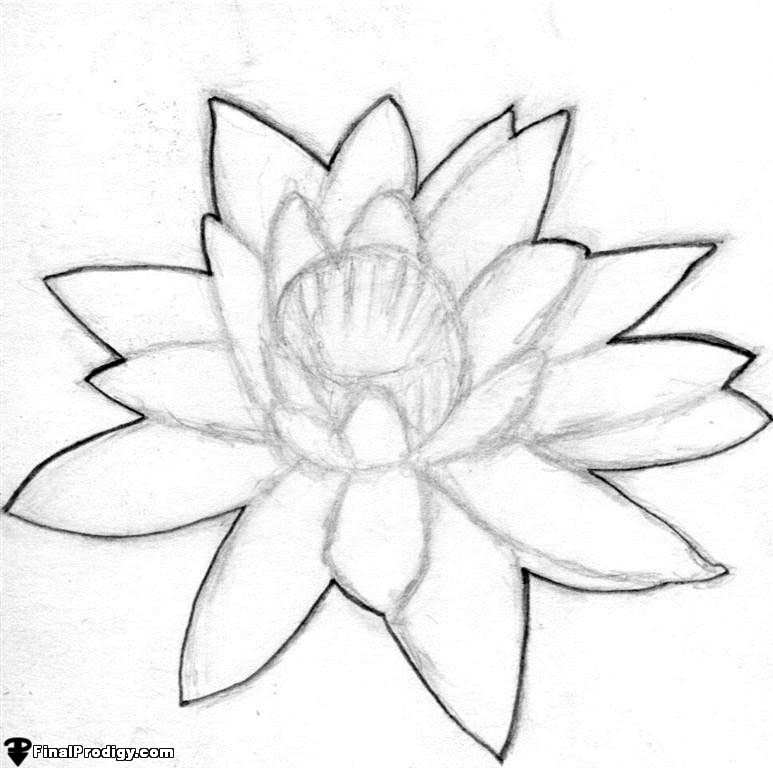How to draw Water lily step by step (easy and simple) | Water lily scenery  drawing *exclusive* | Watch the full video 👉 Please CLICK here⤵  https://www.youtube.com/watch?v=UqM_7pUhRC0&t=5s Watch other videos from  this