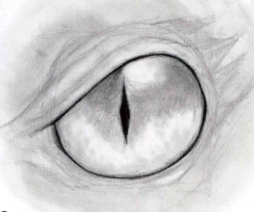 How To Draw A Dragon Eye Finalprodigy Com